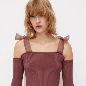 Zara dusty rose organza off shoulder top